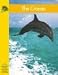 Book The Ocean (Yellow Umbrella Books)