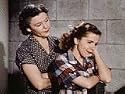 Classic Documentaries - Social Guidance, Courtesy, Manners and Etiquette Films On DVD