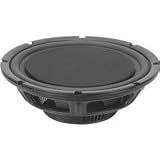 Tang Band WT-1427G 10 Neo Subwoofer