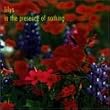 In the Presence of Nothing