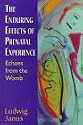 Enduring Effects of Prenatal E: Echoes from the Womb