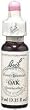 Oak - 20 ml - Liquid