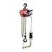 Hoist, Air Chain, 2200 Lb Cap, 10 Ft Lift