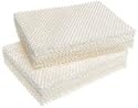 Relion Humidifier Filter WF813, 2 Pack