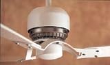 60 SATIN WHITE FAN