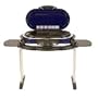 Coleman RoadTrip Grill