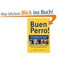 Buen Perro: Entrenamiento Sencillo Para un Comportamiento Exitoso