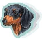 Dachshund Black Tan Sticky Notes2008