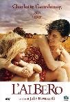 l`albero (Dvd) Italian Import