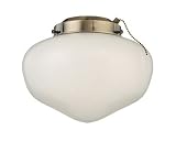 Westinghouse 77832 Ceiling Fan Light Kit 4 21D94Xi1OWL. SL160 Westinghouse 77832 Ceiling Fan Light Kit 4