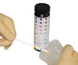 Glucose and Protein Urine Reagent Test Strip, 12 Vials (1 case)