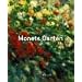 Monets Garten. Sonderausgabe