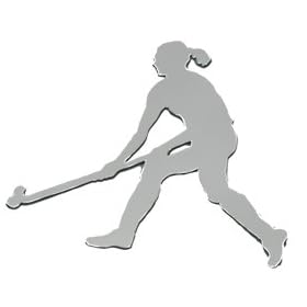 Click here to buy MAGNETS IN MOTION - FIELD HOCKEY.