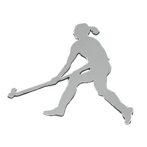 MAGNETS IN MOTION - FIELD HOCKEY by 