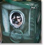Kittywalk Cozy Cabin - GREEN