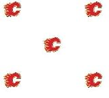 Calgary Flames Double Roll of Wallpaper