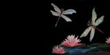 AIRBRUSHED LICENSE PLATES -DRAGONFLIES - #1667