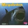 Megalodon (Dinosaurs and Prehistoric Animals)