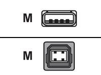 Childrens Toyshop  Electronics : Belkin USB cable - 4 PIN USB Type A (M) - 4 PIN USB Type B (M) - 3.0 m