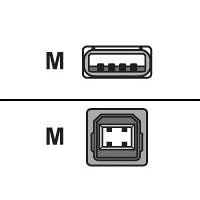 Belkin USB cable - 4 PIN USB Type A (M) - 4 PIN USB Type B (M) - 3.0 m