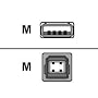 Belkin USB cable - 4 PIN USB Type A (M) - 4 PIN USB Type B (M) - 3.0 m