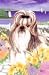 shih tzu - Shih Tzu Garden Flag2008