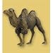 Papo: Camel