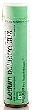 Boericke & Tafel Homeopathics - Ledum Palustre - Single Remedies 30x