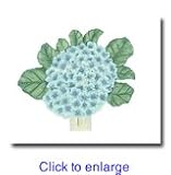 Nantucket Hydrangea Nightlight