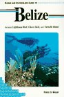 Diving and Snorkeling Guide to Belize: Includes Lighthouse Reef, Glover Reef, and Turneffe Island (Lonely Planet Diving & Snorkeling Guides)