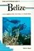 Search : Diving and Snorkeling Guide to Belize: Includes Lighthouse Reef, Glover Reef, and Turneffe Island (Lonely Planet Diving & Snorkeling Guides)