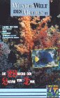 Wunderwelt des Meeres 11 - Die Wracks der Lagune von Truk