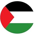 Palestine Flag Ellipse Auto Glass Sticker