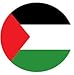 Palestine Flag Ellipse Auto Glass Sticker