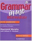 Grammar in Use Intermediate. Student's Book with Answers