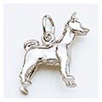Dog Basenji Charm