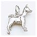 Dog, Basenji Charm