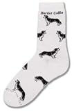 Border Collie Poses Socks