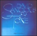 True Stories by David Sancious & Tone