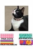 Cat Adj.Breakaway Collar Whimsical Cat