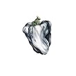 White Peppers