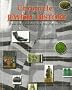 Chronicle of Jewish History from the Patriarchs to the 21st Century: From the Patriarchs to the 21st Century