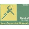 Sport - Gymnasiale Oberstufe: Handball: Sch�lerbuch: Sch�lerb�cher f�r den nach Sportarten differenzierten Unterricht in der gymnasialen Oberstufe