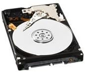 Western Digital WD3200BPVT Scorpio 2.5" 320GB SATA2 Laptop Hard Drive HDD - NEW