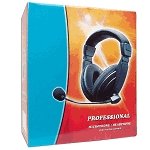 Professional Headphones with Headset Microphone (Black)