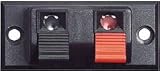 Two Conductor Speaker Terminal