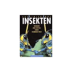 Faszinierende Insekten. Wunder und R�tsel einer fremden Welt