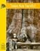 Trees Are Terrific! (Yellow Umbrella Books)