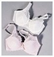 Genie Pocket Bra