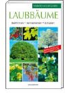Laubbaeume